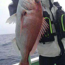 遊漁船 新鋭丸 釣果