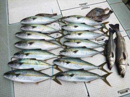 ふじしめ丸 釣果