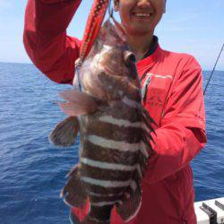 Blue.win 海人丸 釣果