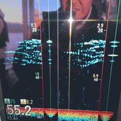 遊漁船ブルーウッズ 釣果