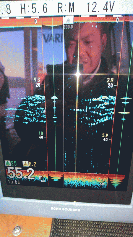 遊漁船ブルーウッズ 釣果