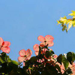 小菅トラウトガーデン 釣果