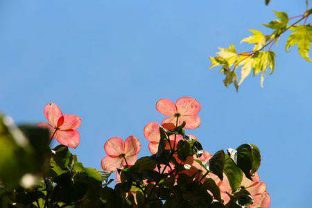 小菅トラウトガーデン 釣果