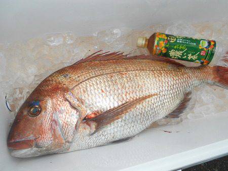 こうゆう丸 釣果