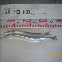 姫路市立遊魚センター 釣果