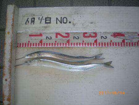 姫路市立遊魚センター 釣果