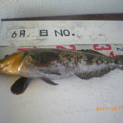 姫路市立遊魚センター 釣果