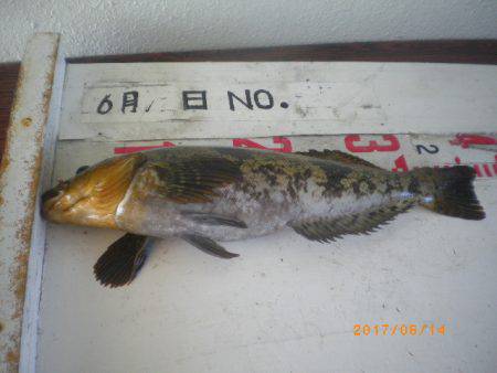 姫路市立遊魚センター 釣果