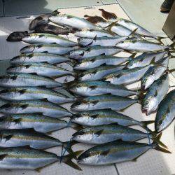 ふじしめ丸 釣果