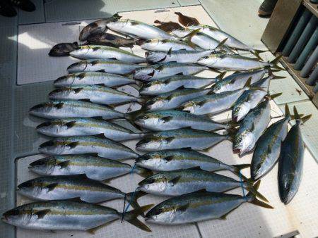 ふじしめ丸 釣果