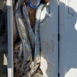 遊漁船 ニライカナイ 釣果