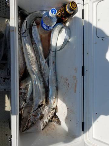 遊漁船 ニライカナイ 釣果