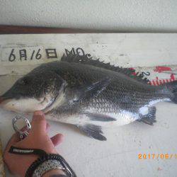 姫路市立遊魚センター 釣果