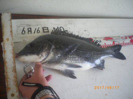 姫路市立遊魚センター 釣果