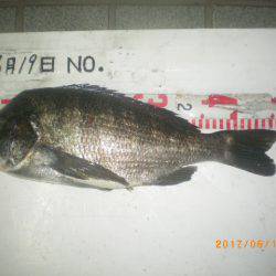 姫路市立遊魚センター 釣果