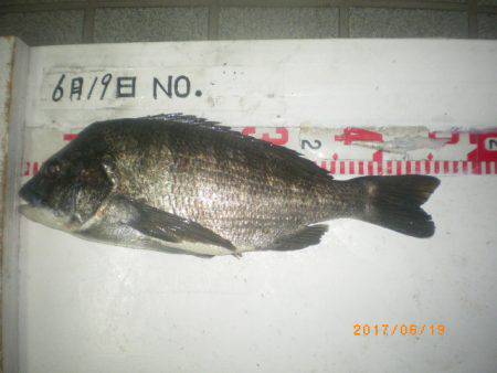 姫路市立遊魚センター 釣果