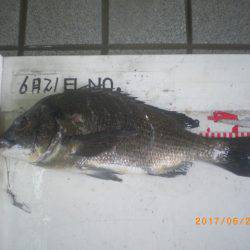 姫路市立遊魚センター 釣果