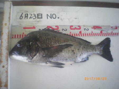 姫路市立遊魚センター 釣果