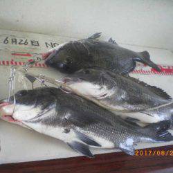 姫路市立遊魚センター 釣果