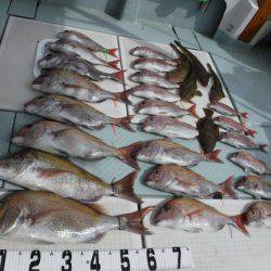 遊漁船 幸友丸 釣果