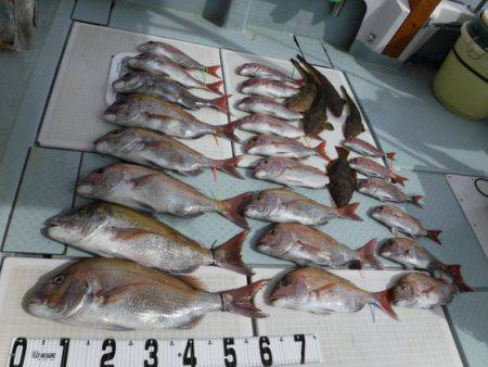 遊漁船 幸友丸 釣果