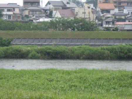 狩野川（狩野川漁業協同組合） 釣果