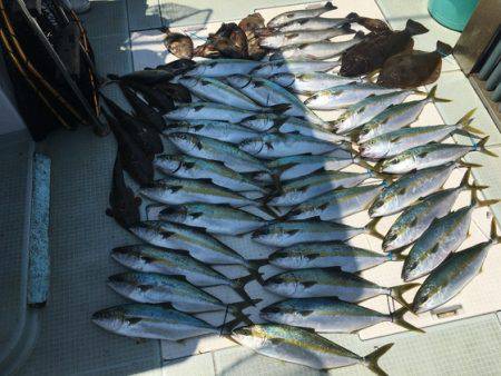 ふじしめ丸 釣果