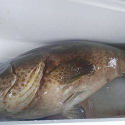 遊漁船 新鋭丸 釣果