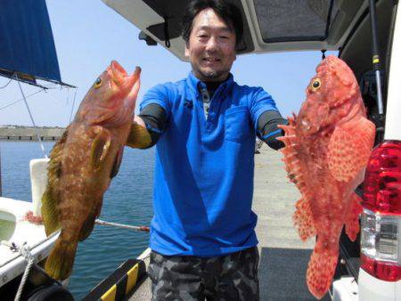 大進丸(新潟) 釣果