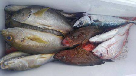 遊漁船 新鋭丸 釣果