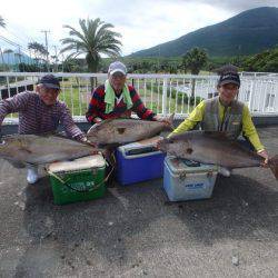 フィッシングハウス伊藤 釣果