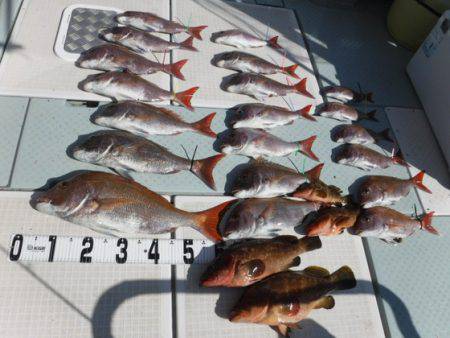 遊漁船 幸友丸 釣果