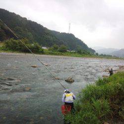 安倍川・藁科川(安倍藁科川漁業協同組合) 釣果