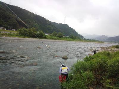 安倍川・藁科川（安倍藁科川漁業協同組合） …