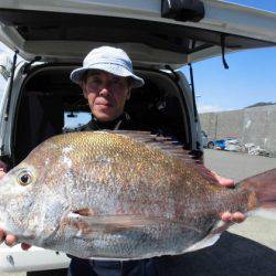 大進丸(新潟) 釣果
