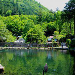 小菅トラウトガーデン 釣果