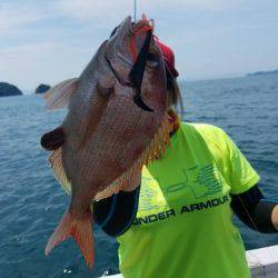 遊漁船　ニライカナイ 釣果