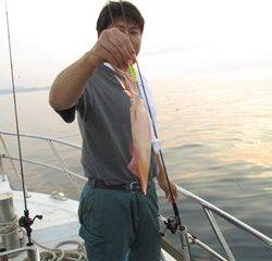 ジギング船 BLUEWATER 釣果