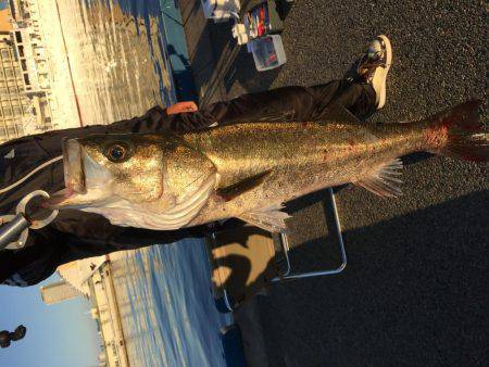 エビ撒き、イソメ、72cmのスズキゲット！！