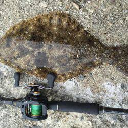 ジグシーズン開幕？