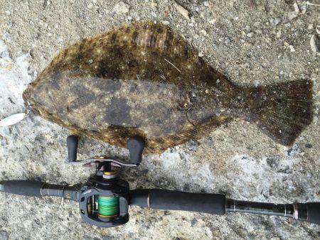 ジグシーズン開幕？