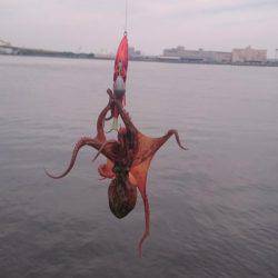 ツバスからのタコ、そしてツバス