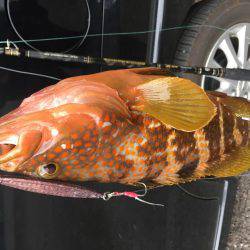 ジグシーズン開幕？