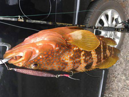 ジグシーズン開幕？