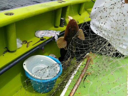 横内丸 釣果