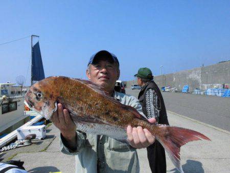 大進丸(新潟) 釣果