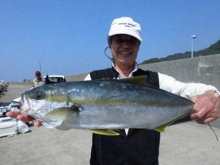 大進丸(新潟) 釣果