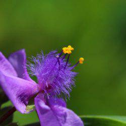 小菅トラウトガーデン 釣果