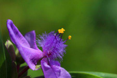 小菅トラウトガーデン 釣果