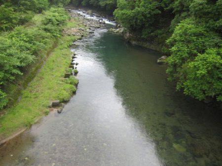 狩野川（狩野川漁業協同組合） 釣果